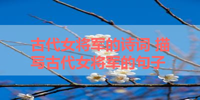 古代女将军的诗词 描写古代女将军的句子 