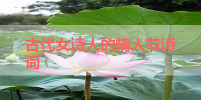 古代女诗人的情人节诗词 