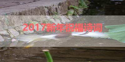 2017新年祝福诗词 