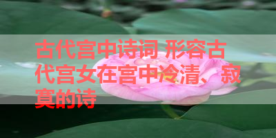 古代宫中诗词 形容古代宫女在宫中冷清、寂寞的诗 