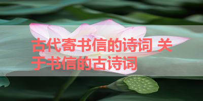 古代寄书信的诗词 关于书信的古诗词