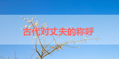 古代对丈夫的称呼 