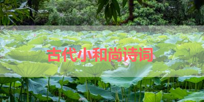 古代小和尚诗词 