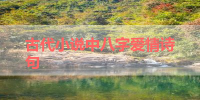 古代小说中八字爱情诗句 