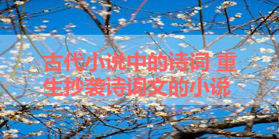 古代小说中的诗词 重生抄袭诗词文的小说