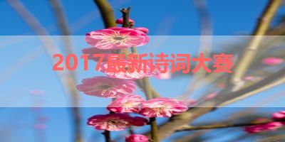 2017最新诗词大赛 