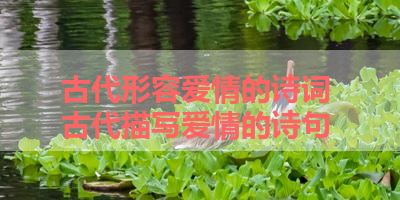 古代形容爱情的诗词 古代描写爱情的诗句 