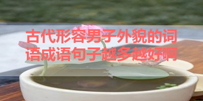 古代形容男子外貌的词语成语句子越多越好啊 