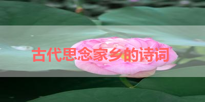 古代思念家乡的诗词 