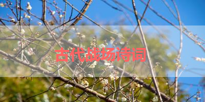 古代战场诗词 