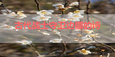 古代战士守卫边疆的诗 