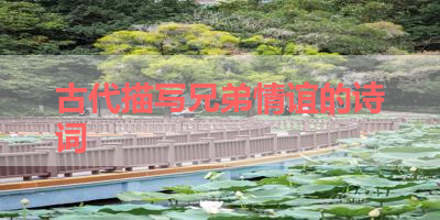 古代描写兄弟情谊的诗词 