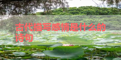 古代描写感情是什么的诗句 