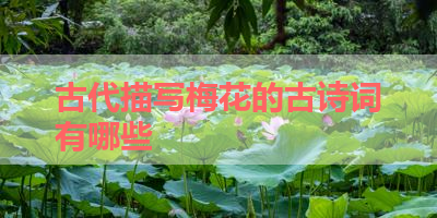 古代描写梅花的古诗词有哪些 