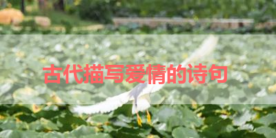 古代描写爱情的诗句 