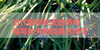 古代描写秋天的诗句 描写秋天的经典古诗句
