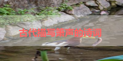古代描写箫声的诗词 