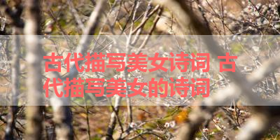 古代描写美女诗词 古代描写美女的诗词