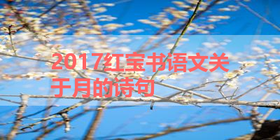 2017红宝书语文关于月的诗句 