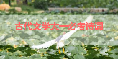 古代文学大一必考诗词 