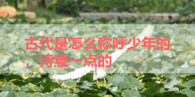 古代是怎么称呼少年的，诗意一点的 