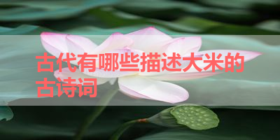 古代有哪些描述大米的古诗词 