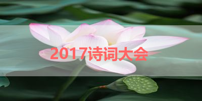 2017诗词大会 