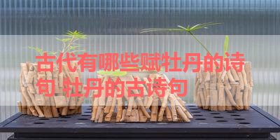 古代有哪些赋牡丹的诗句 牡丹的古诗句
