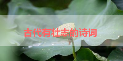 古代有壮志的诗词 