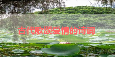 古代歌颂爱情的诗词 