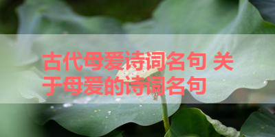 古代母爱诗词名句 关于母爱的诗词名句