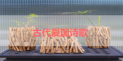 古代爱国诗歌 