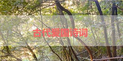 古代爱国诗词 