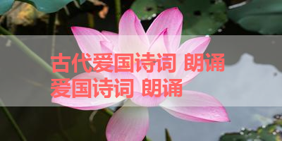 古代爱国诗词 朗诵 爱国诗词 朗诵