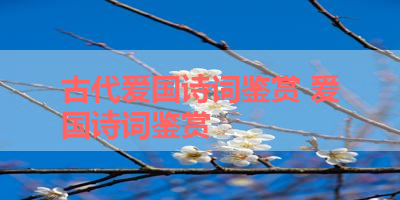 古代爱国诗词鉴赏 爱国诗词鉴赏