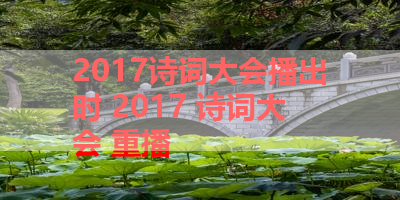 2017诗词大会播出时 2017 诗词大会 重播