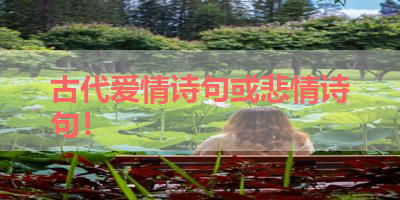古代爱情诗句或悲情诗句！ 
