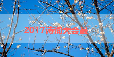 2017诗词大会最 