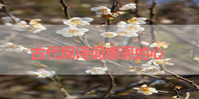 古代现诗词感恩的心 