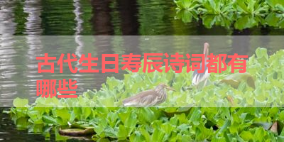 古代生日寿辰诗词都有哪些 