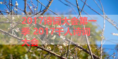 2017诗词大会第一季 2017千人诗词大会 