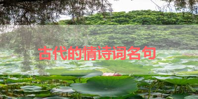 古代的情诗词名句 