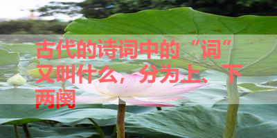 古代的诗词中的“词”又叫什么，分为上、下两阕 