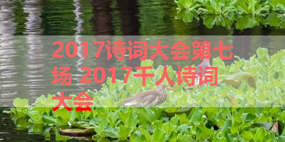 2017诗词大会第七场 2017千人诗词大会 