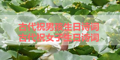 古代祝男孩生日诗词 古代祝女子生日诗词