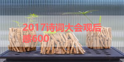 2017诗词大会观后感600 