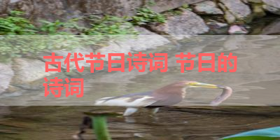 古代节日诗词 节日的诗词
