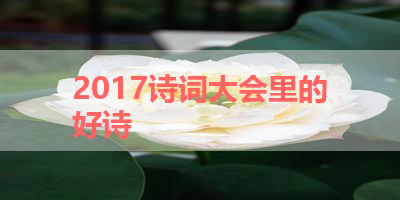 2017诗词大会里的好诗 