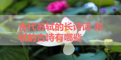 古代苏轼的长诗词 苏轼的古诗有哪些 