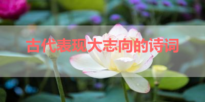 古代表现大志向的诗词 
